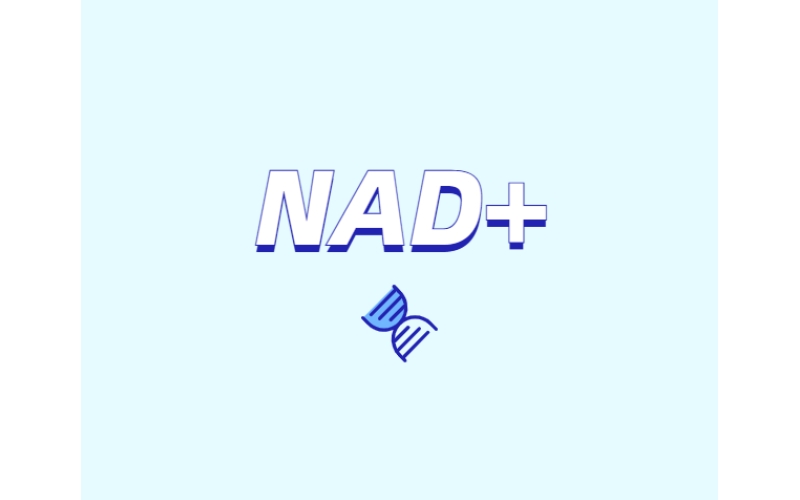NAD與NMN的全新概念？